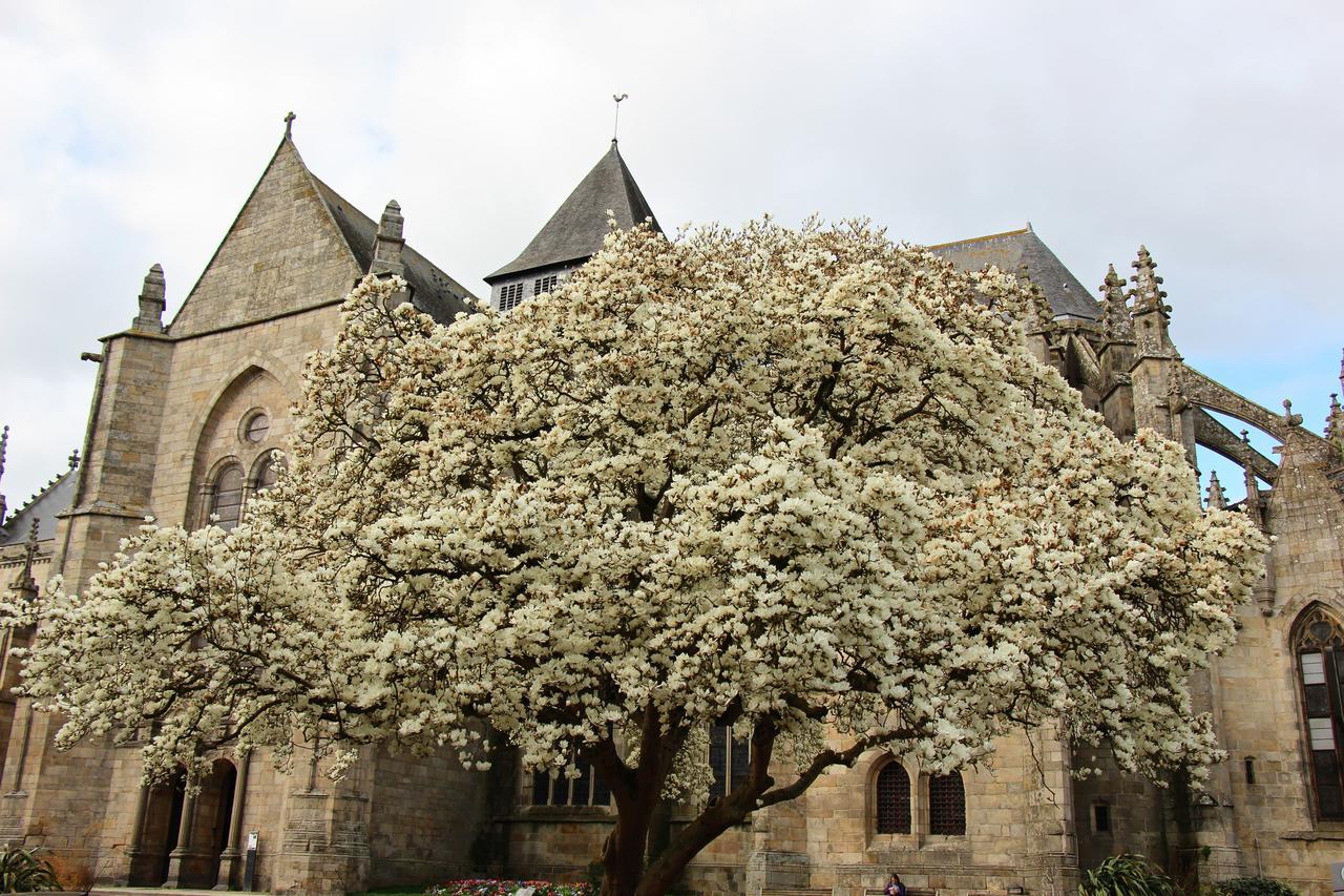La Tocade Del Arte - Dinan Bed and Breakfast Lanvallay Eksteriør billede